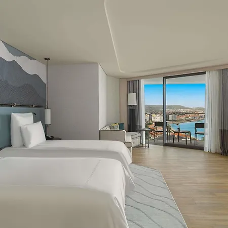 מלון Swissotel And 5*