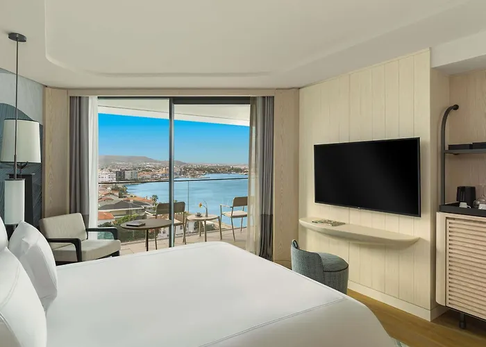 Swissotel And Otel 5*
