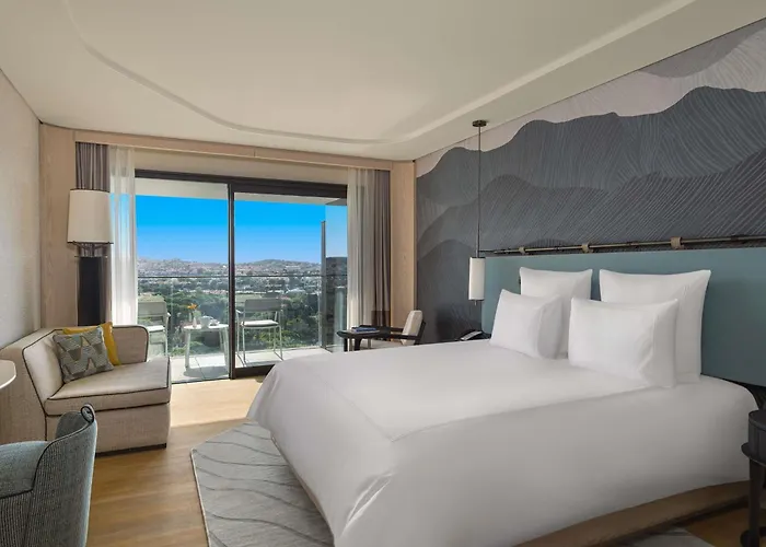 Swissotel And Отель 5*