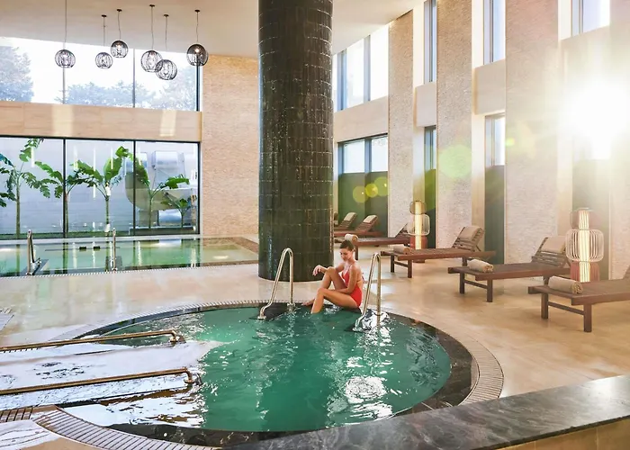 Swissotel And 5*